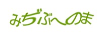 Authentication image